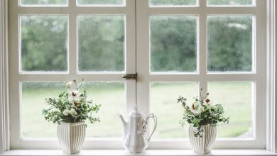 Window Locks for Home Windows
