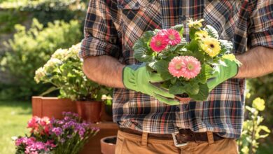 How to find a professional gardener