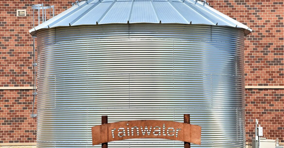 Proper Collection of Rainwater