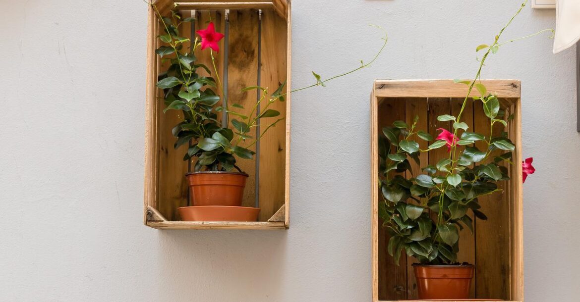 plant-pot-box-wall-decoration
