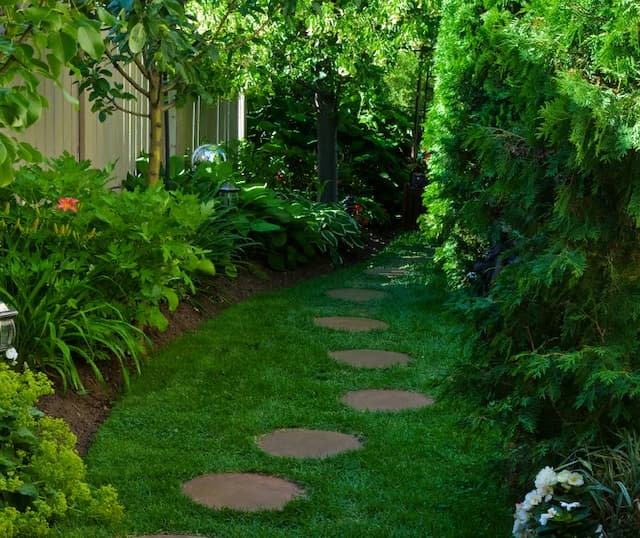 tree-path-landscaping