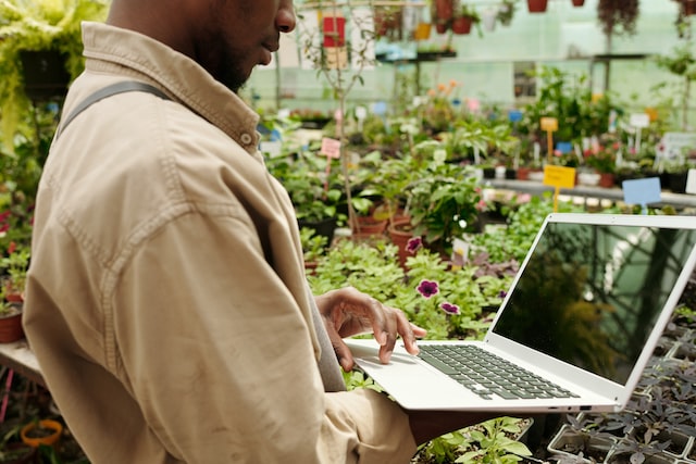 Close-up of flower shop worker using laptop to control growth of plants in greenhouse