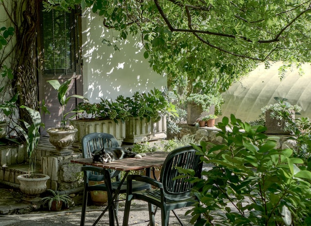 garden furniture in lots of green plants