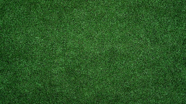 turf texture