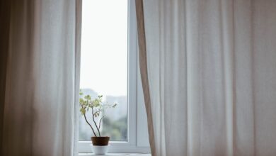 window with curtains