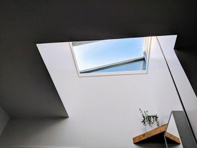 roof architecture window