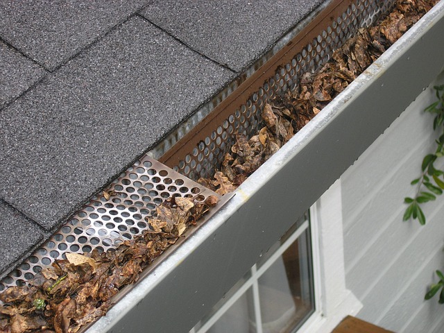gutter-guard-ipswich